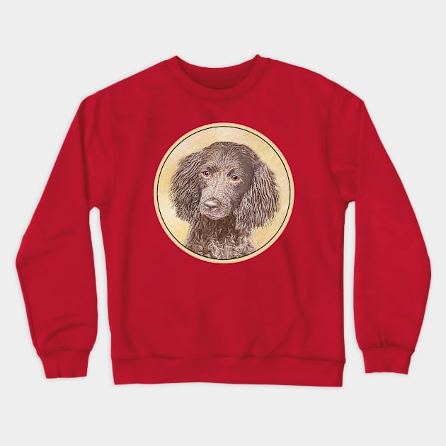 American Water Spaniel Crewneck Sweatshirt by Alpen Designs